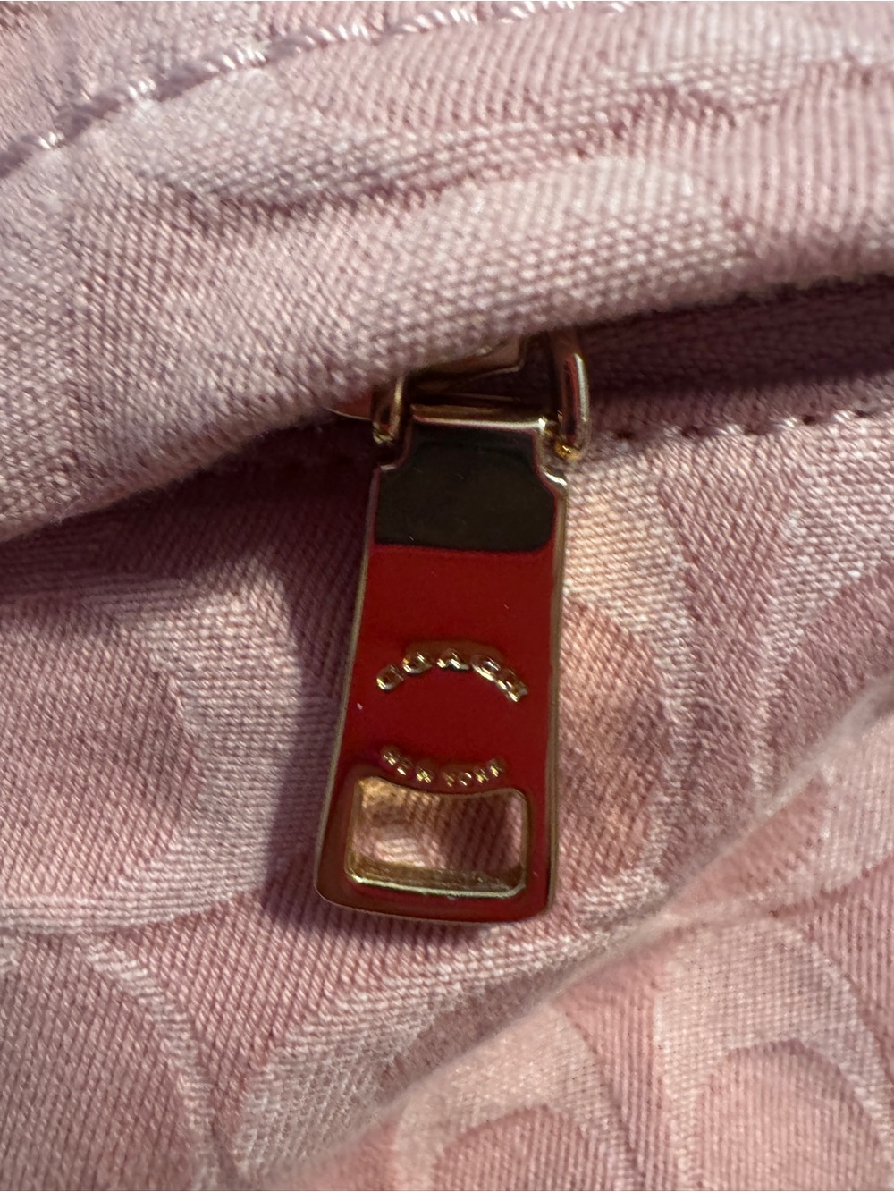 Pink Coach Denim Backpack - Picture 3 of 12